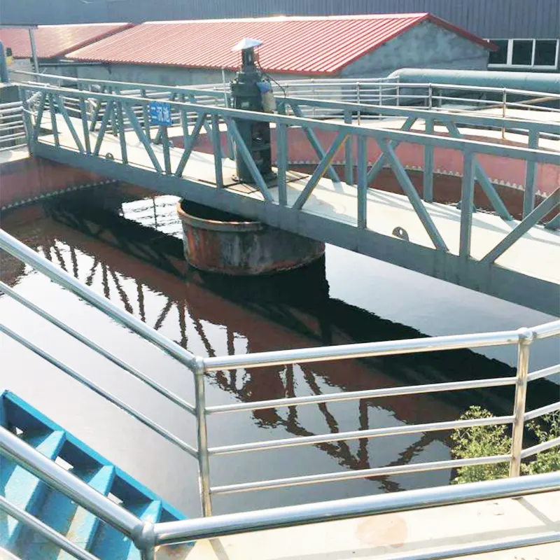 Nghiên cứu điển hình tại chỗ về nhà máy xử lý nước thải